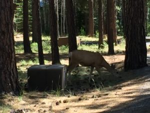 IMG_0588
